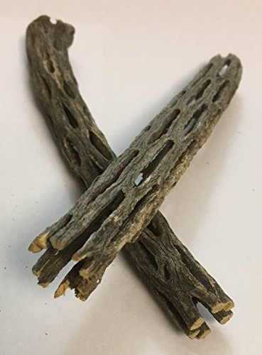 Catappa-Leaves Natural Decoration for Aquariums and Terrariums 2 Pieces Cholla Cactus Wood ~ 15 mm Diameter x 150 mm Long