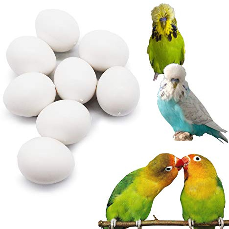 FOIBURELY Lot de 8 œufs factices solides pour perroquet, inséparable, bourkes, perruches linéoléées, arroser les oiseaux pour arrêter de pondre les œufs, œufs factices (22 mm 18 mm)