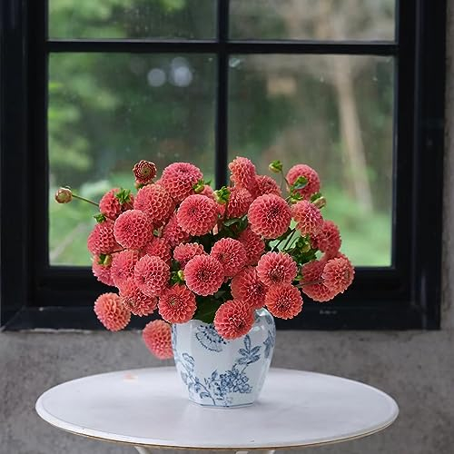 4 pcs dahlien knollen winterhart, blumenzwiebeln mehrjährig winterhart dahlien Dahlia frühjahrsblüher blumen zwiebeln geschenke für gartenfreunde bienenweide, blumenzwiebel gartenblumen