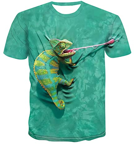HUIGUANG Herren 3D Druck T-Shirt Lustige Chamäleon T-Shirts Tiere Eidechse Drache Dinosaurier 3D gedruckt Männer Frauen Streetwear Mode T-Shirt Coole Kinder Jungen T-Shirts Tops