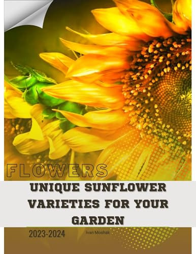 Unique Sunflower Varieties for Your Garden: Become flowers expert