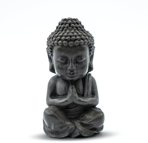 OMTRS Small Buddha Statue, 3.5“ Zen Sculpture for Home Decor, Indoor Small Buddha Figurines for Home Feng Shui Decor(Cast Iron-Praying)
