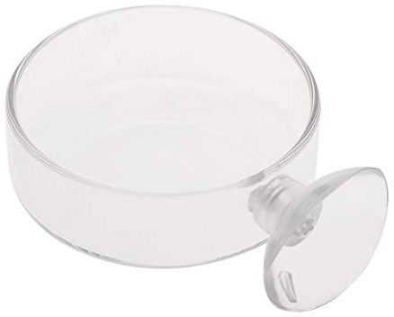 Nucelit Alimentación de camarones para acuario con ventosa, comedero inferior de vidrio transparente de 2.4 x 0.7 pulgadas, bandeja redonda de alimentación de camarones y tubo con ventosa y tubo de