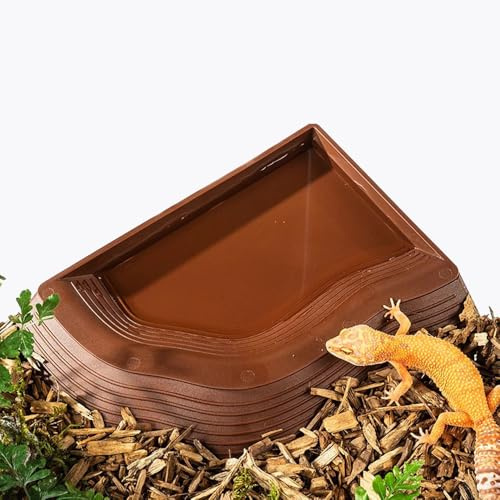 Runiash Reptile Ramp Water Bowl Dish Reptile Bathing Pool Feeding Dish Water Bowl with Ramp Aquarium Ornament for Gecko, Snake, Turtle, Bearded Dragon, Lizard Bath (Brown)