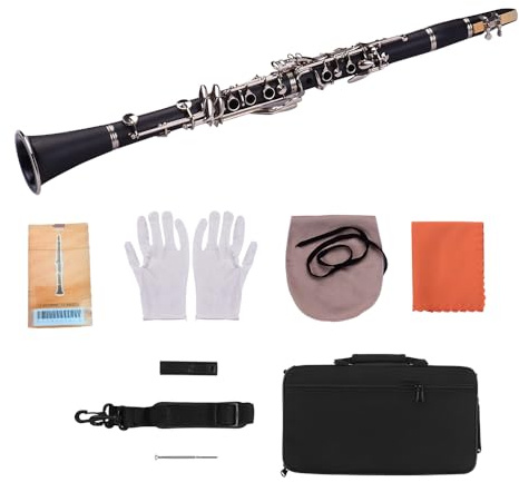 Domary Clarinette SIB 17 Touches pour Débutants, Clarinette ABS avec 10 Anches, Instrument à Vent avec étui de Transport, , Chiffon de Nettoyage, Mini Tournevis, étui à Anches (Noire)