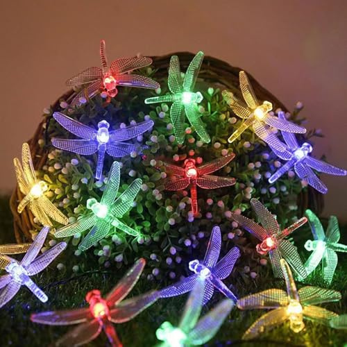 DiiWmme 2M 10 LED Blossom Fairy Lights, Battery Operated Flower String Lights for Bedroom Decor, Indoor Spring and Christmas Decorations, Girls Room Gift (Dragonfly)