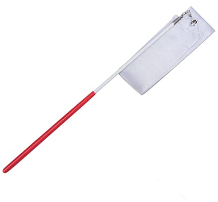 WILLWA 4M Profi-Gymnastikband Rhythmische Sportgymnastik Ballettband Tanzband Art.-Nr (Color : 2M Silver)