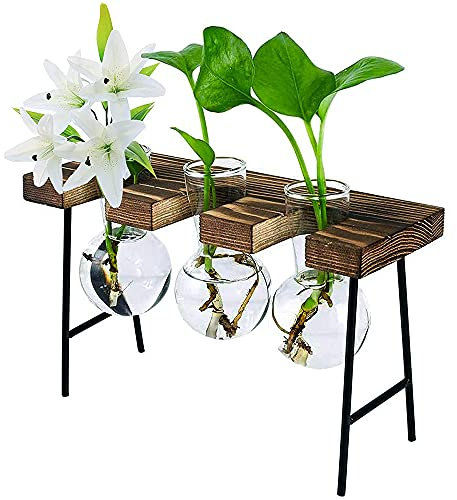 Koanhinn Terrario da scrivania con bastoncini di legno, 3 vasi di cipolla in vetro, per piante, casa, giardino, ufficio, decorazione