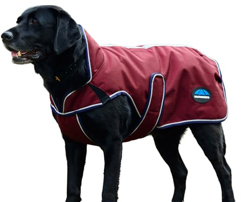 WeatherBeeta ComFiTec Premier Deluxe Waterproof Dog Coat, Burgundy/Navy, 50cm