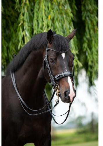 Hb Kandare Showtime Special for You Schwarz-Schwarz - Full/WB