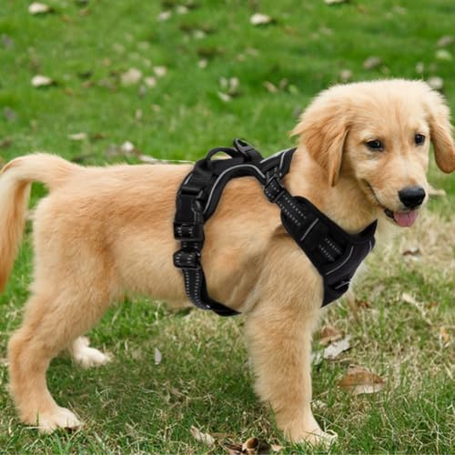 FSROOMZ Hundegeschirr Anti Zieh für Welpen und kleine Hunde Schwarz (S)