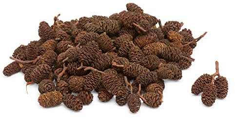 Mini-pommes de pin VBS, Naturel, env. 190 g