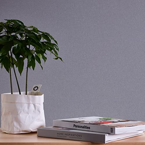 A.S. Création Tapete Uni Grau Terra 389258 - Vliestapete Einfarbig - 10,05 m x 0,53 m Made in Germany