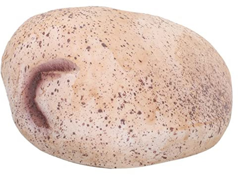 GANAZONO Cassetta Delle Chiavi Nascondi Chiavi Giardino Nascondere Una Chiave Magnetica Portachiavi Magnetico Custodia Per Chiavi Giardino Roccia Artificiale Resina Ornamenti All'aperto