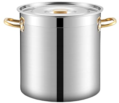 Djup grönsaksgryta i rostfritt stål, gryta med soppa och lock, lämplig for alla spisar