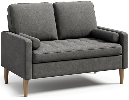 Blishom Sofá Pequeño de 2 Plazas con Reposabrazos, Mini Sofá de Tela con 2 Cojines para Salón, Apartamento, Oficina, Apartamento, Fácil Montaje, 121 x 76 x 87 cm (Gris Oscuro)