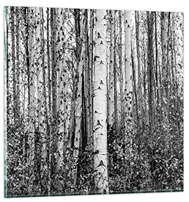 Vidrios decorativos 40x40cm Cuadro Sobre Vidrio Moderno Abedules Bosque Monocromo Dormitorio Cocina Cuadros Pared Impresiones Decoracion Salon Impresión en Cristal Wall Art Prints Decor GAC40x40-4643