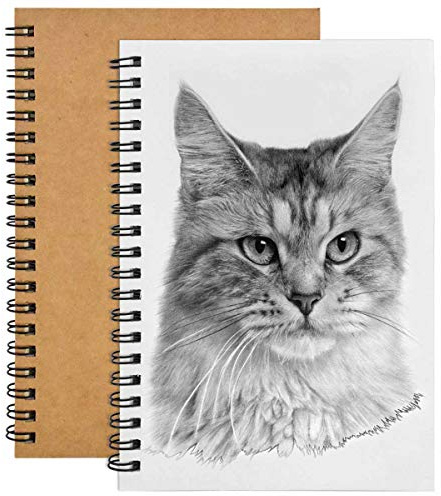 Fodlon 2pcs Carnet Note Spirale,200 GSM / 100 pages Cahiers de Croquis,A5 Sketch Bloc Spiralé pour Garçons Filles Peinture Aquarelle, Journalr, Dessin Paysage (Couverture Kraft)