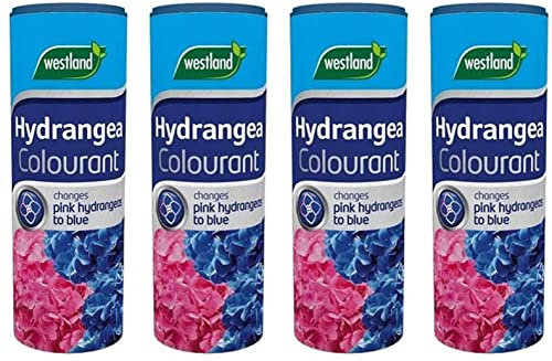 Westland Lot de 4 colorants pour hortensia 500 g