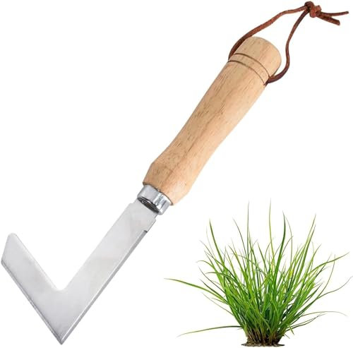 Ruikcoll Fugenkratzer, Fugenreiniger Unkrautkratzer,Unkrautkratzer mit Holzgriff, Unkraut Messer zum Entfernen von Moos und Unkraut, Unkrautkratzer aus Edelstahl, Gartenwerkzeug