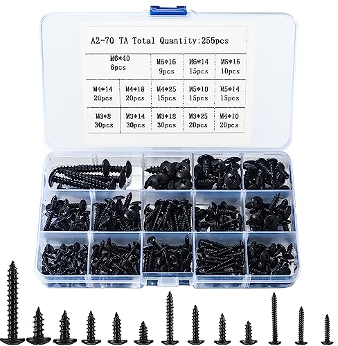 Viti a Brugola Piana, Set di 255 Viti a Testa Svasata in Legno, Viti Autofilettanti, M3 M4 M5 M6 Viti a Croce a Testa Cilindrica, Viti Autoperforanti - Nero
