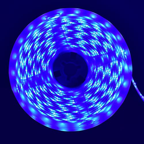 iNextStation 5M LED Streifen Blau, 12V LED Strip 300 LEDs SMD2835 Lichtband