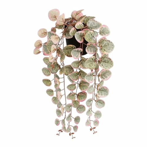 Mica Decorations Planta Decorativa Ceropegia Woodii 10 x 46 x 12 cm Artificial para Colgar