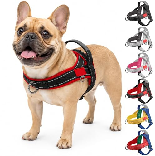 Olcyren No Pull Dog Harness, Reflective Adjustable Anti Pull Dog Harness with Front Back Clips, No-Choke Soft Padded Puppy Harness with Handle for Small Medium Dogs Walking (Black Red, L)