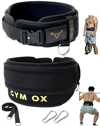 2-in-1-Gewichthebergürtel für Männer und Dip-Gürtel, Powerlifting-Gürtel, Fitnessgürtel für Männer, beschwerter Gürtel, gewichteter Klimmzuggürtel (schwarz, groß)