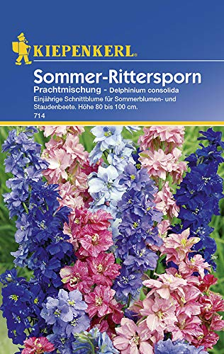 Kiepenkerl 714 Sommer-Rittersporn Prachtmischung (Sommer-Ritterspornsamen)