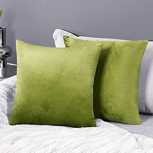 Deconovo Set of 2 Velvet Cushion Covers 60 x 60 cm Grass Green Decorative Cushion Cover