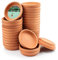 7,6 cm Kleiner Terrakotta-Topf-Untersetzer – 32 Stück runde Mini-Blumentopf-Untersetzer, kleine Ton-Pflanzschalen, perfekt für 5,1 cm, 6,3 cm, 7,6 cm