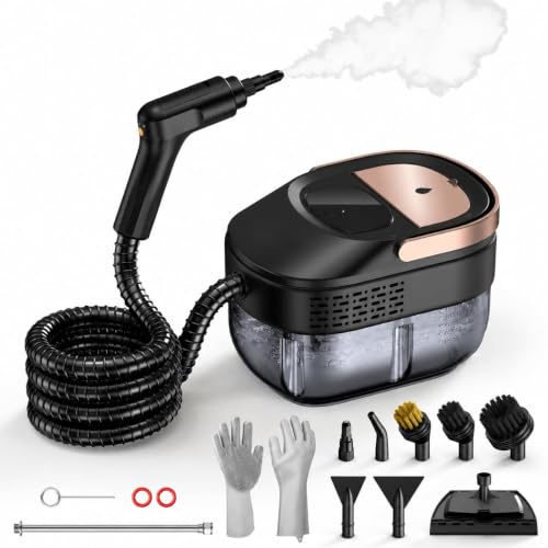 ODSD Dampfreiniger Handgerät für Haushalt und Auto 15s Aufheizzeit