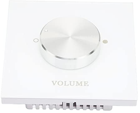 Sxhlseller Smart Home Volymkontroll, Dual Channel med Vridknapp för Bakgrundsmusik och Högtalarsystem