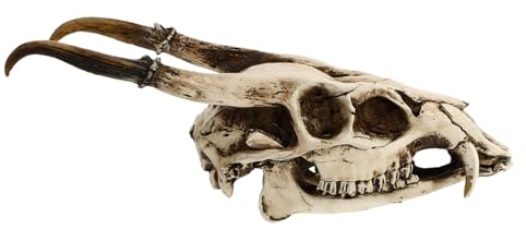 Yardenfun 1stk Ziege-schädel-verzierung Natürliche Wohnkultur Gefälschtes Schädelmodell Geweih-schädel-wanddekoration Halloween-tierknochen Wandbehang Schafschädel Kopf Formen Harz Künstlich