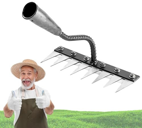 Rateau pour DéSherber avec Manche, Radeau De Desherbage Berthaus avec Manche pour Jardinage Et DéSherbage (8 Dents)