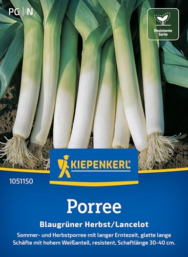 Kiepenkerl Porreesamen Blaugrüner Herbst/Lancelot 1051150 - Sommer- und Herbstporree - lange Erntezeit - resistent - Samen Gemüse, Saatgut, Gemüsepflanzen