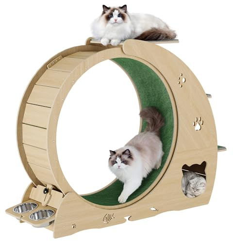 6-in-1 Cat Exercise Wheel for Indoor Cats – Multifunctional Treadmill with Detachable Carpet, Scratching Post, Feeding Bowls – Quiet Sturdy Cat Furniture for Fitness and Fun, 40 Inch, Wood Color