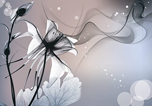 Wesmilewallpaper Papier Peint Panoramique 3D Fleurs Noir Blanc 300x210cm