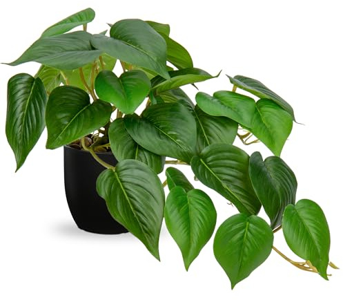 Hollyone Artificial Plants in Black Pots, Fake Jade Pothos Decorative Faux Potted Plants, Realistic House Plant Indoor for Home Décor, Bathroom, Living Room, Kitchen, Shelf, Office Decorations