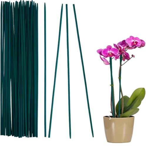 100 Tutores para Plantas 70 cm Ø 5,5-6 mm | Estacas de Bambú para Flores, Jardín, Macetas, Trepadoras, Enredaderas | Ideal Plantas Monstera, Orquidea y Otras Ornamentales | Color Verde