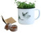 Nam - Kit de Cultivo de Microgreens en Taza - Brocoli y Berro, Taza Aleatoria, Cultiva Hierbas Frescas en Casa, Incluye 2 Recargas de Semillas Según Temporada, Mini Huerto Urbano