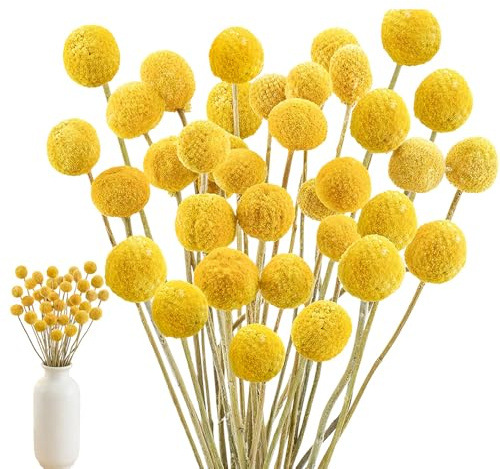 HIULLEN Billy - 40 palline con fiori secchi, 43 cm, fiori secchi, colore giallo, naturale secchi, piante secche, per composizioni floreali fai da te, matrimoni, vaso alto, casa