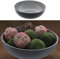 Cepewa Dekoschale │ Ø30cm x H10cm Kunststoff grau schwarz │ Obstschale rund Tischdeko (1 x rund grau schwarz Ø30cm)