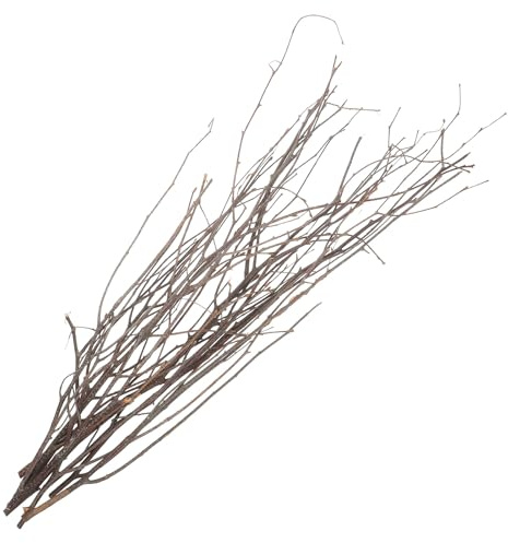 TOKIDNY Rami Decorativi Legno la Casa in Legno Naturale, 10 Pezzi di Piccoli Rametti Secchi Fai da Te per Ornamento la Casa e Decorazioni Rami Naturali