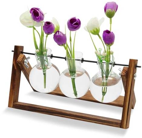Lot de 3 Vase en Verre Hydroponique avec Support en Bois, Station de Propagation pour Plantes, Vase Boutures Plantes pour Maison, Bureau, Jardin