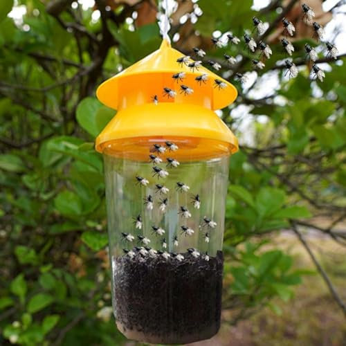 Trappola per mosche della frutta, riutilizzabile, trappola per Drosophila, insetto, moscerino, A7A3, trappola per raccogliere frutteti e frutteti, trappola P