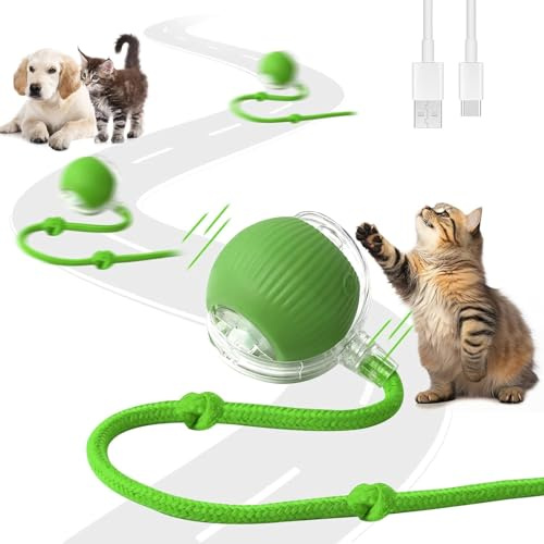 2 Pezzi Giocattolo Interattivo per Gatti, Palla Elettrica, Ricaricabile Giochi per Gatti da Caccia con 3 Modalità, Palla Automatica Intelligente Elettrico Palla Rotante a 360 Gradi per Gatti e Cani