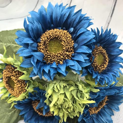 300 Pièces Graines de Tournesol, Graine de Fleurs Tournesol à Planter, Graine Fleurs à Semer, Semences de Tournesols pour Jardin et Balcon, Haute Germination, Facile à Cultiver (Bleu)