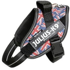 Julius-K9, IDC Powergeschirr, Größe: S / Mini, Britische Farben